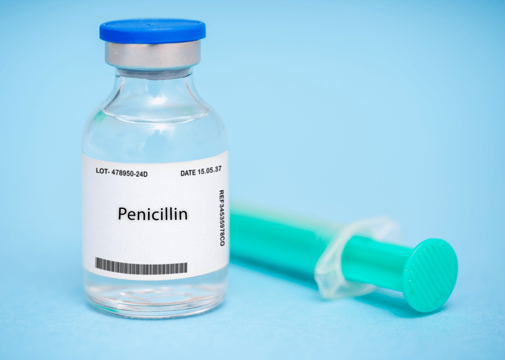 Understanding Penicillin in Animal Care: What, Why, and&nbsp;How